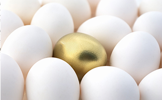 golden egg