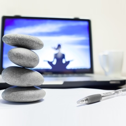 2017 Mindfulness Seminar