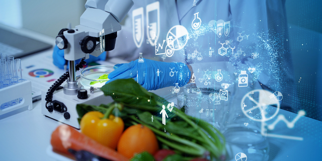 The Future of Food