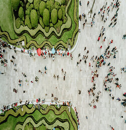 Organizing for Success in Corporate Sustainability