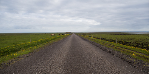 1130301342-500x250.jpg