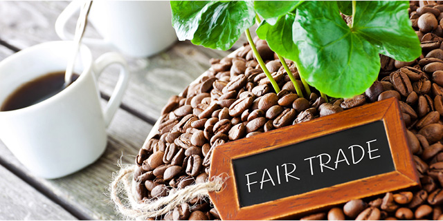 Consumers' Attitudes about Sustainability