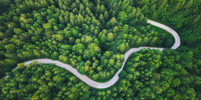 Disclosing Scope 3 GHG Emissions