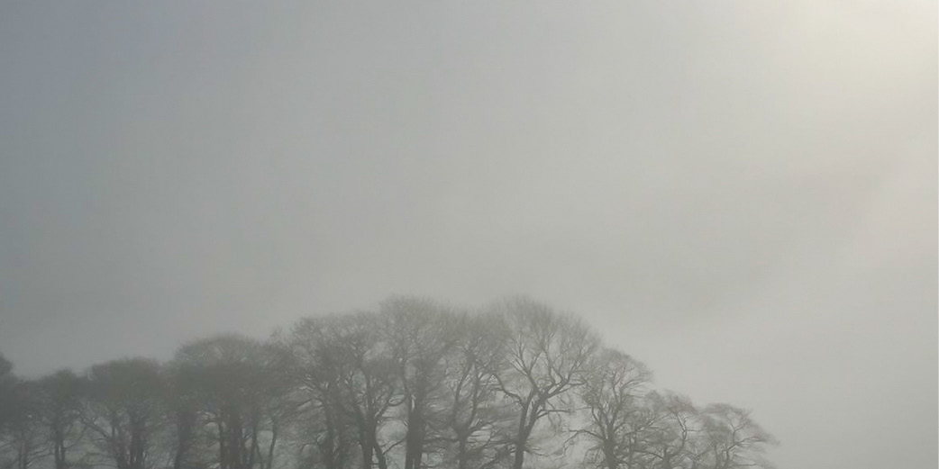 676022976-W500x2501.jpg