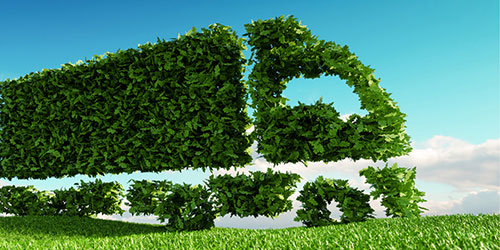 Sustainable Procurement: Lessons from Leading Companies