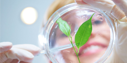 Sustainability Practices: 2018 Edition